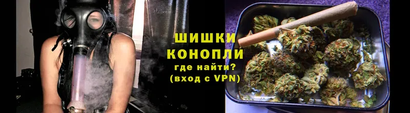 Конопля Bruce Banner  Новороссийск 